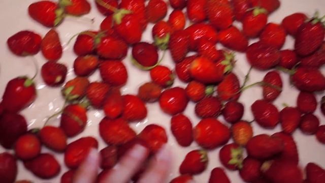 Что Получилось? \ УРОЖАЙ \ Овощи Цветы / ПОДКОРМКИ / ЗАГОТОВКИ смотреть онлайн