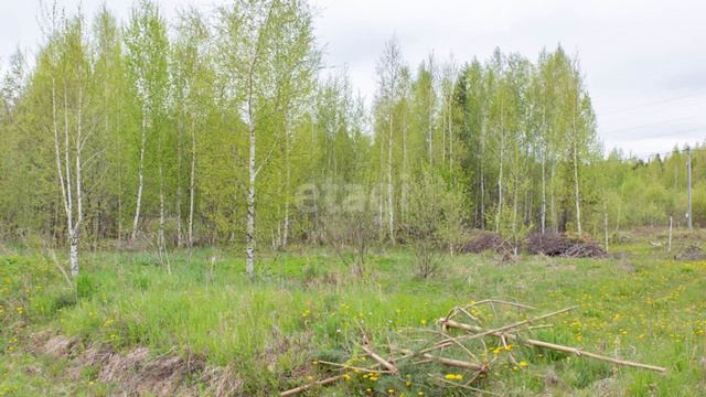 10282181 смотреть онлайн