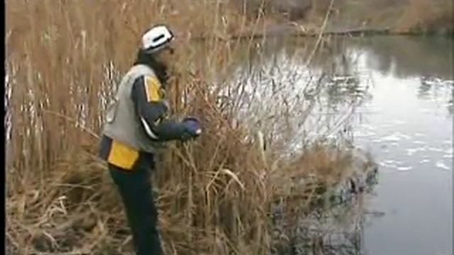 щука твичинг исполняет Алексей Черных (Alligator) pike fishing смотреть онлайн
