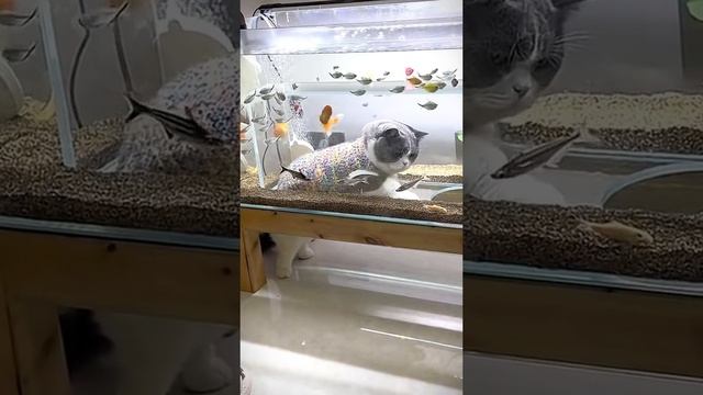 VID_20231111_094045_950.mp4