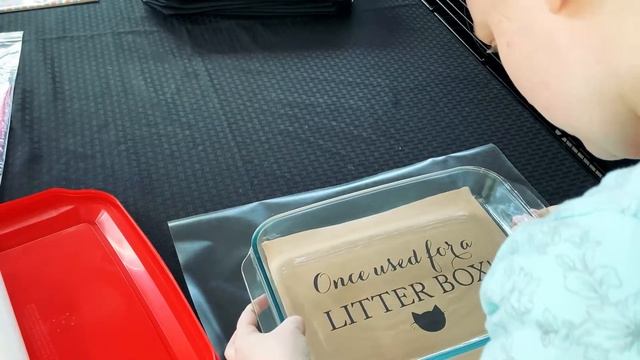 Etched Glass Video смотреть онлайн