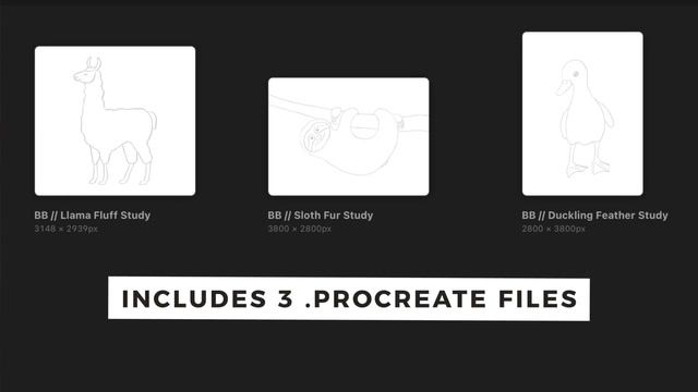 How to Draw Fur in Procreate + FREE BRUSHES (New Class on Skillshare!) смотреть онлайн
