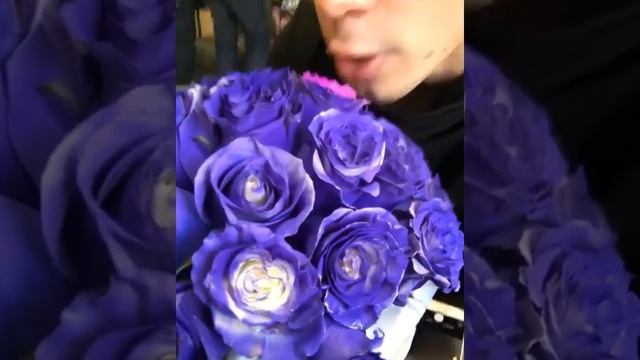 Роза хамелеон смотреть онлайн