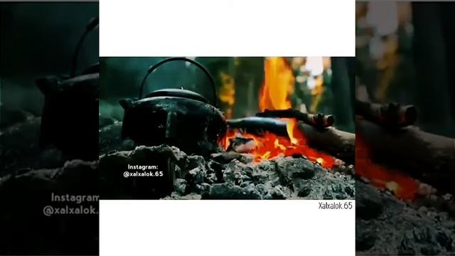 Ahmet kaya filiz filiz harelendim смотреть онлайн