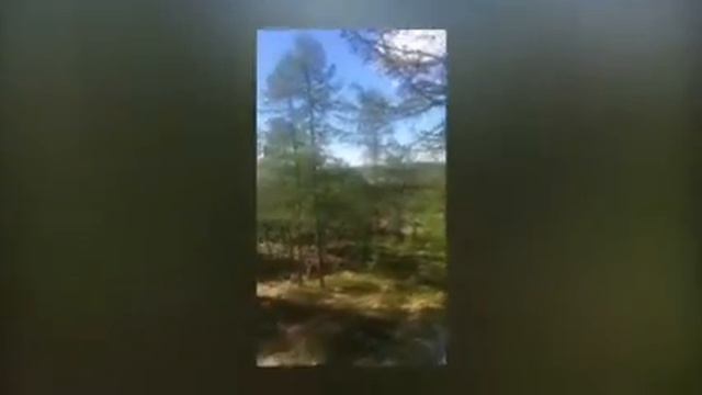 Летние дни в Айхале смотреть онлайн
