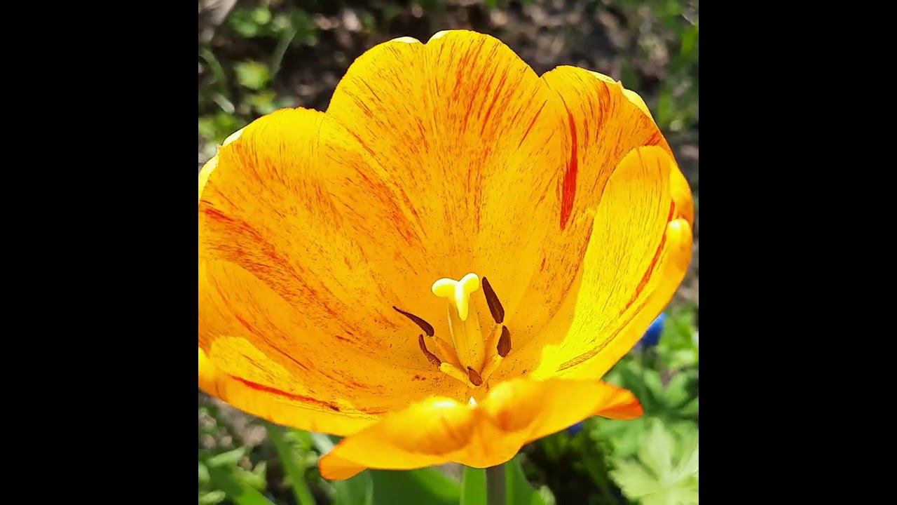 Радоница 3 мая 2022г.