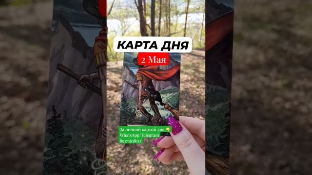 Карта Дня 2 МАЯ ? #таро #гадание #картадня #прогнознадень #май #tarot #картытаро #таролог #tarotcar смотреть онлайн