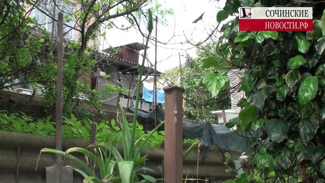 Какие культуры хорошо растут в садах Сочи смотреть онлайн