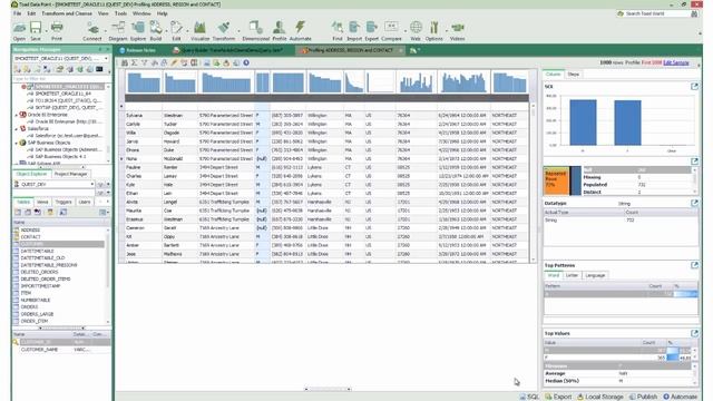 How to access and process data using the Toad Data Point transformation and cleanse utility смотреть онлайн