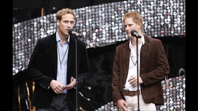 Prince William And Harry Rule Out A Concert To Mark The 20th Anniversary Of Diana's Death