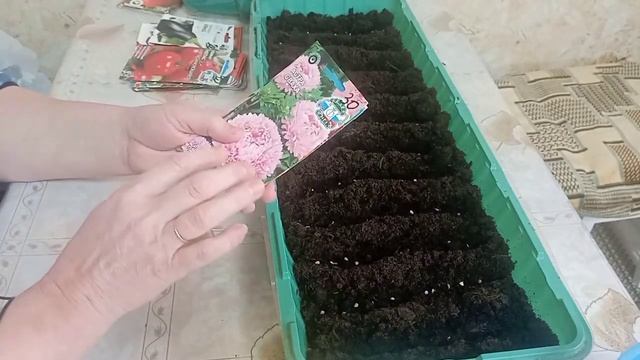 Какие помидоры больше не буду садить смотреть онлайн