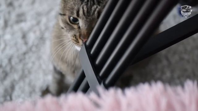 Как парковать самолёт у дома? Ответы на вопросы смотреть онлайн