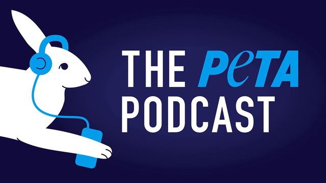 Ep. 162: Peter Singer, "Animal LIberation" author reflects 46 years after publication. смотреть онлайн