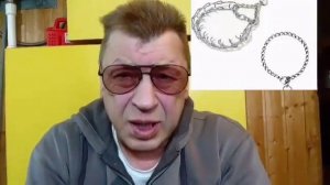 КАК ВЫБРАТЬ СТРОГИЙ ОШЕЙНИК. И ЧТО С НИМ ПОТОМ ДЕЛАТЬ