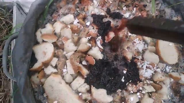 ПЕРВАЯ ПОДКОРМКА (БРОДИЛКА) ДЛЯ ТОМАТОВ ПЕРЦЕВ ОГУРЦОВ смотреть онлайн