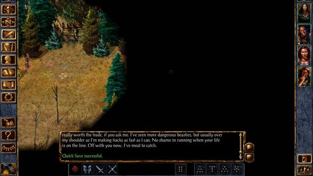Baldurs Gate: The Adventures of Grizelda Fizzlebang смотреть онлайн
