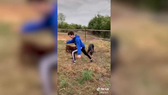 БАБИЧУ И МИМИМИЖКЕ РАЗБИЛИ НОСЫ, КТО ИЗ ДЕВОЧЕК В ДРИМ ТИМ ВСТРЕЧАЮТСЯ? | TIKTOK | DREAM TEAM HOUSE смотреть онлайн