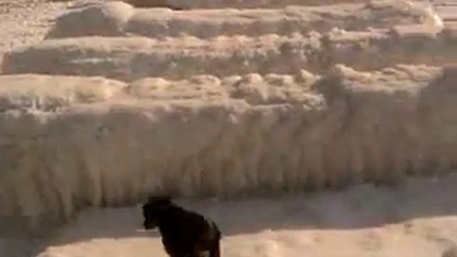 В Одессе замёрзло море смотреть онлайн