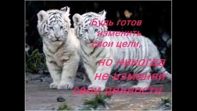 Мантра | Правила Жизни от Далай Ламы смотреть онлайн