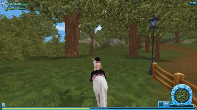 Где и как собрать цветы для Фары в Star Stable Online | Карта местонахождения цветов для мастерской смотреть онлайн