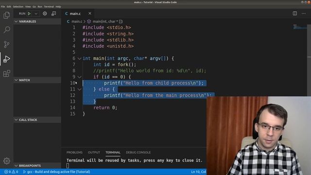 The fork() function in C смотреть онлайн