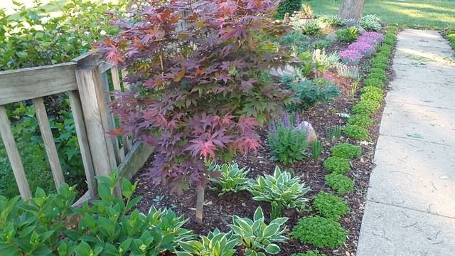 May '21 Garden Tour - Realize Your Art смотреть онлайн