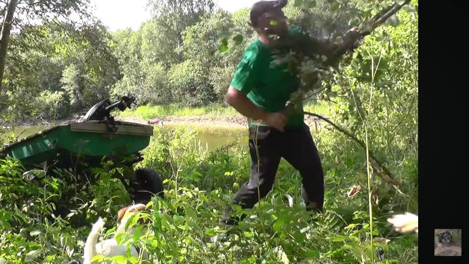 Речка лесная