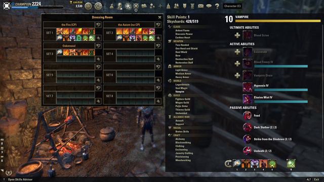 ESO Mag. DK no CP PvP build - simple, effective and future-proof.. смотреть онлайн