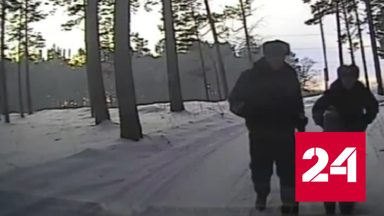 Потерявшаяся четырехлетняя девочка едва не замерзла на дороге - Россия 24 смотреть онлайн