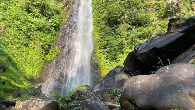 24 ноября 2023 г. смотреть онлайн