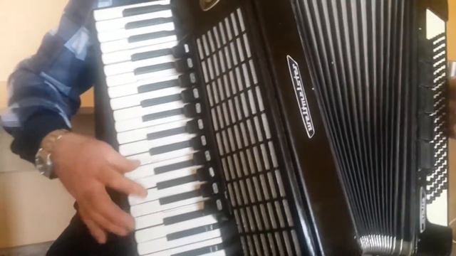 Weltmeister Stella 120 Bass LMMH Accordion Akkordeon Fisarmonica Black Repair (1) смотреть онлайн