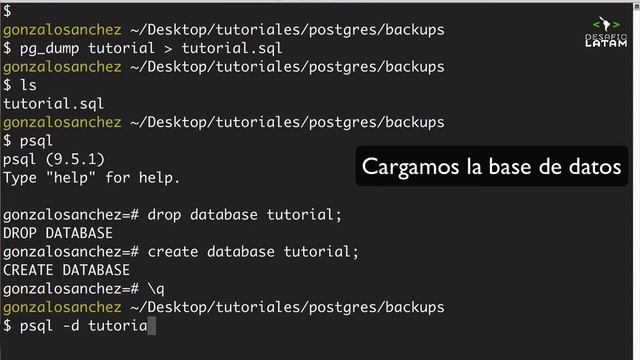 Realizando respaldos con pg_dump смотреть онлайн