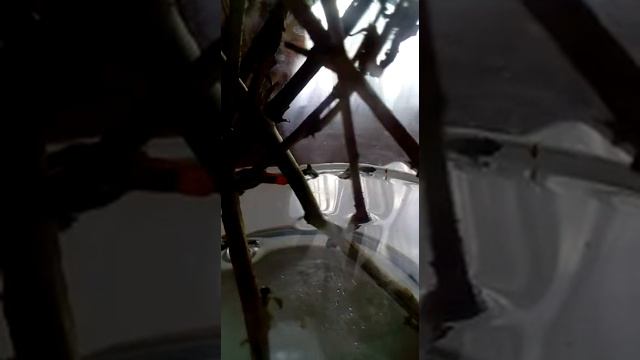 Что сегодня напишу смотреть онлайн