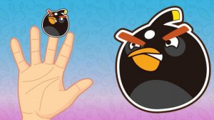Angry Birds Finger Family | Finger Family Song video | songs for kids