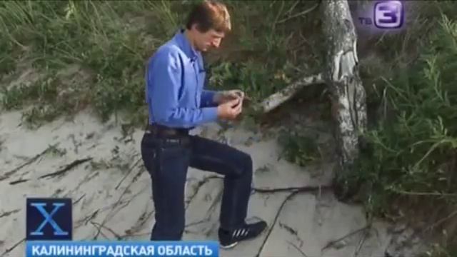 Х-версии:Атака из Европы .Нашествие гусениц соснового шелкопряда смотреть онлайн