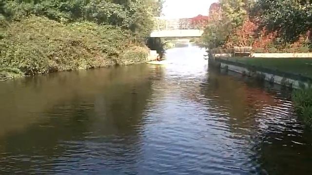 Kayak 5 смотреть онлайн