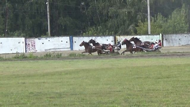Заезд № 5 (154). Приз "ООО "Логиново". смотреть онлайн