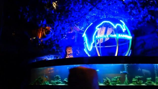 Детское Кафе с Животными Прогулка по Дубай Молл Rainforest Cafe Dubai смотреть онлайн