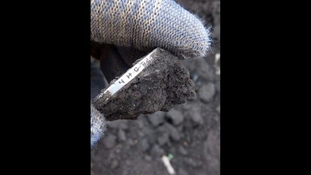 Клад 2019 найденный Minelab Equinox 600 X-Terra 705