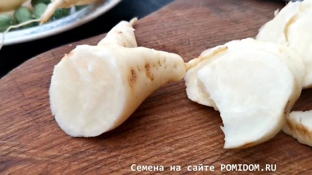 Удивительный Овощ Кукамелон — Мексиканский Огурчик — Cucamelon смотреть онлайн