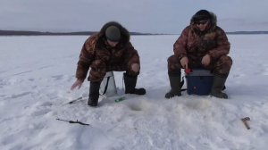 Ловля щуки зимой на удочку.