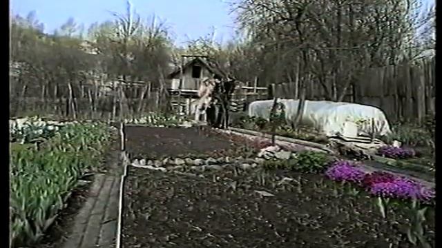 Рекомендации Л. Шульгиной по выращиванию ранних овощей 2001г смотреть онлайн