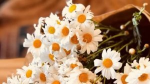 Я и деньги Саидмурод Давлатов (3)