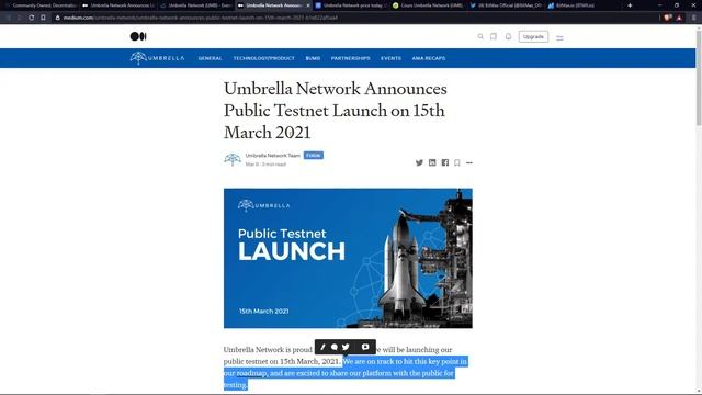 Umbrella network | Oracle layer 2 solution | Listing on Bitmax | Public testnet incoming смотреть онлайн