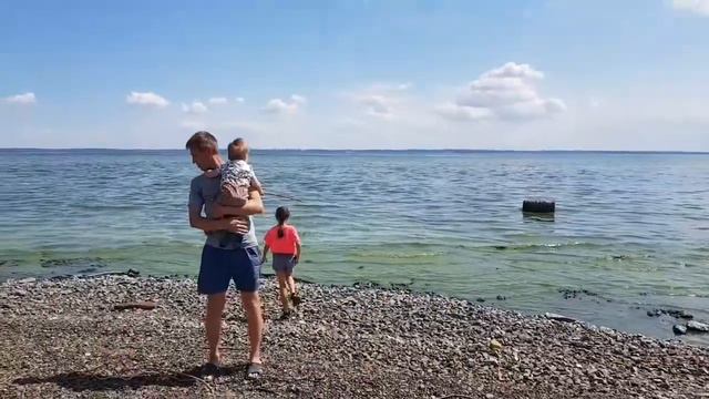 Прогулка через лес к Волге//яблоневый сад//#наши_находки смотреть онлайн