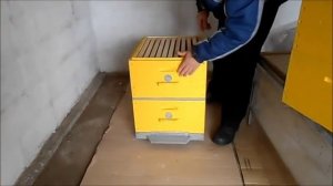 Нужна ли разделительная решётка в улье ?