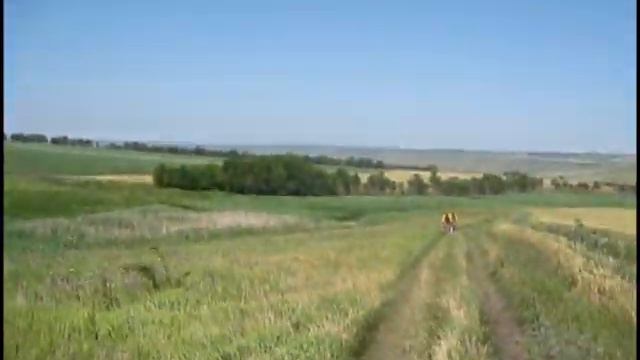 Ах ты, степь широкая - на Бударку по полям смотреть онлайн