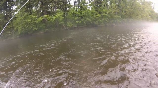 Рыбалка на горной реке. Хариус Ленок. часть 1 смотреть онлайн