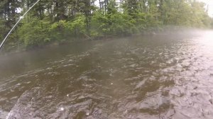 Рыбалка на горной реке. Хариус Ленок. часть 1