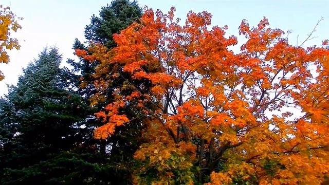 3 сентября. День когда я совсем один. Музыка которая заставит задуматься.В мире где мы совсем одни смотреть онлайн